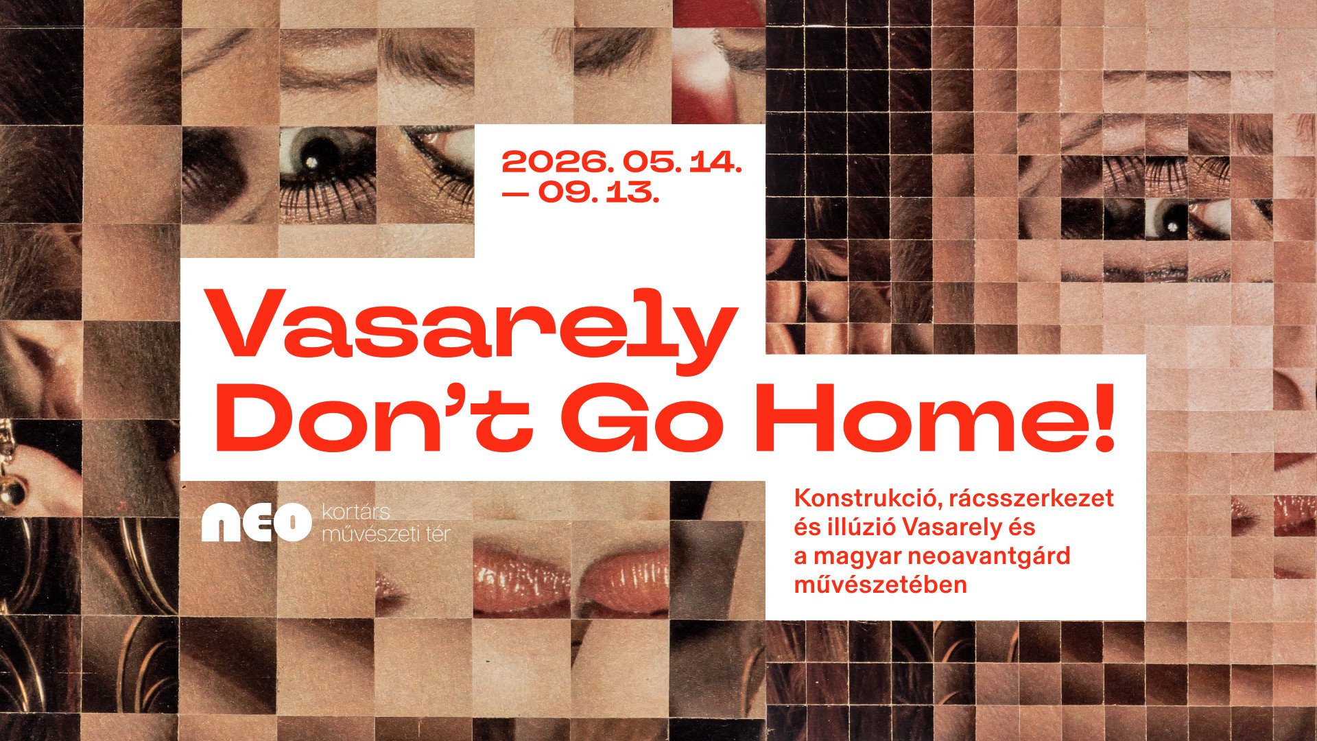 VASARELY DON’T GO HOME! kép