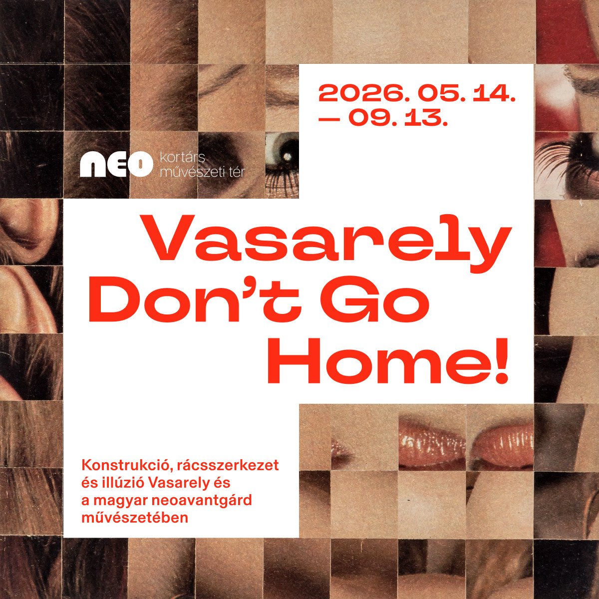 VASARELY DON’T GO HOME! kép