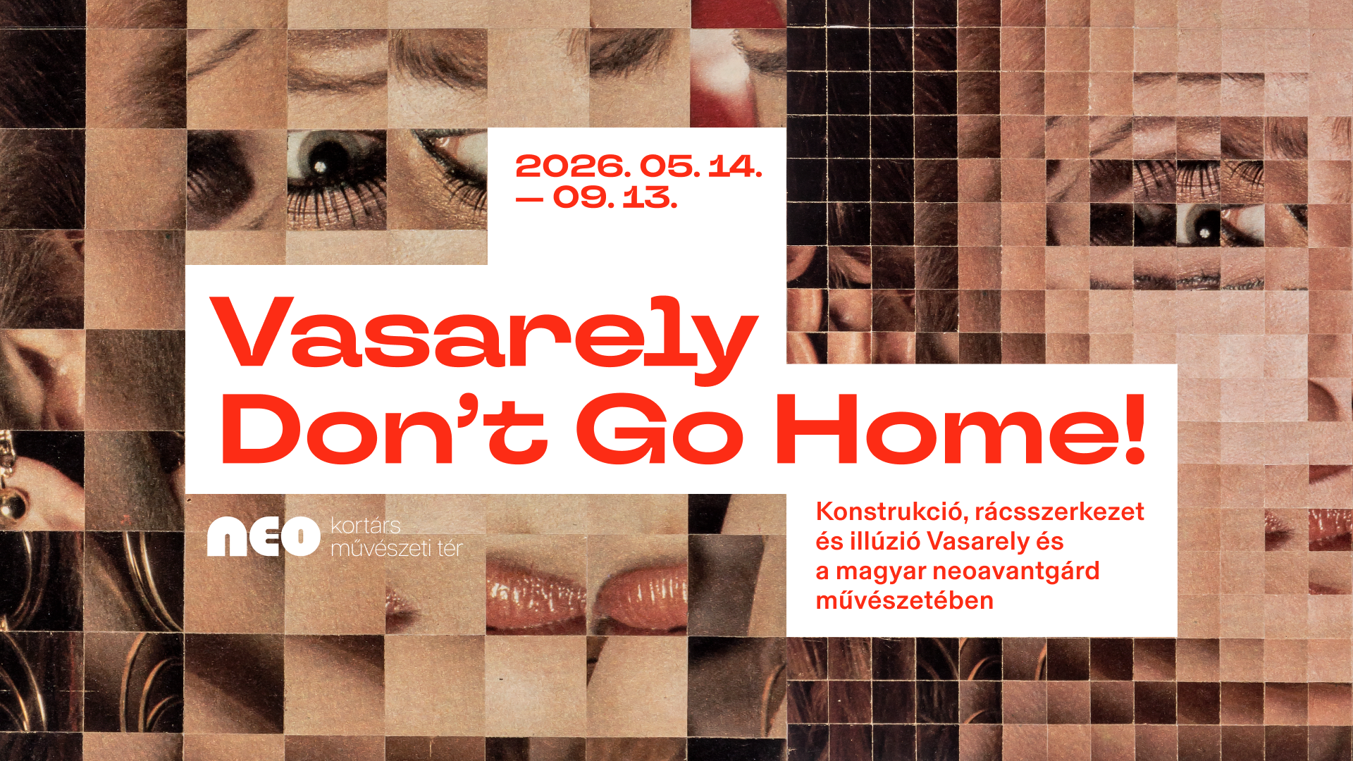 VASARELY DON’T GO HOME! kép