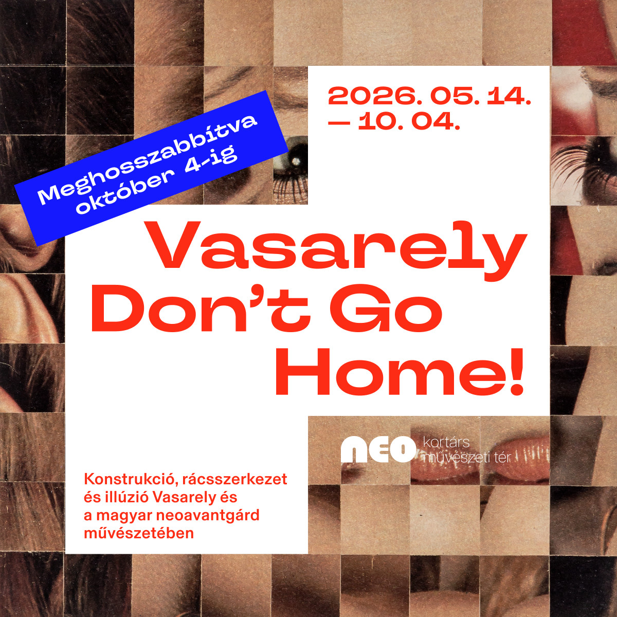 VASARELY DON’T GO HOME! kép