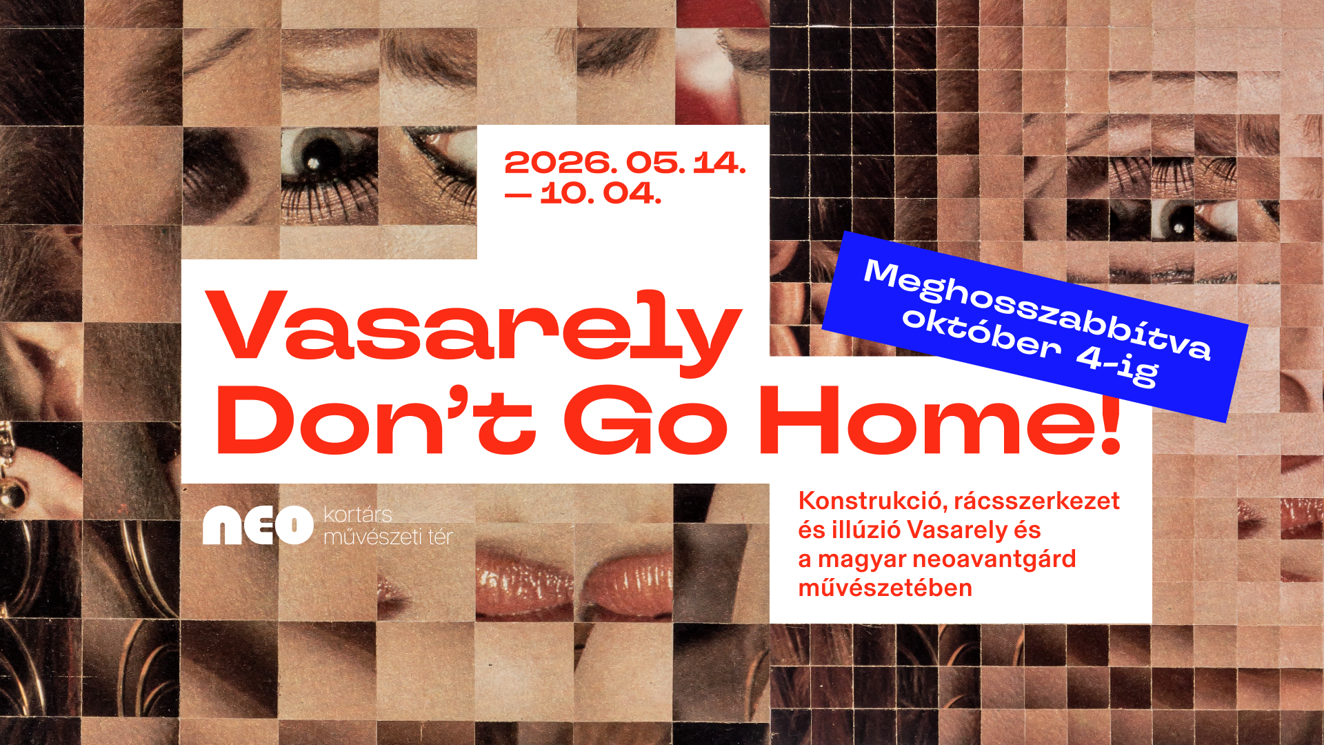 VASARELY DON’T GO HOME! kép